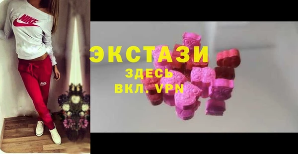 гашик Карпинск
