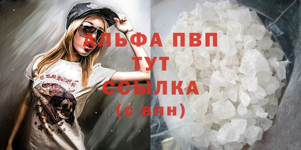гашик Карпинск