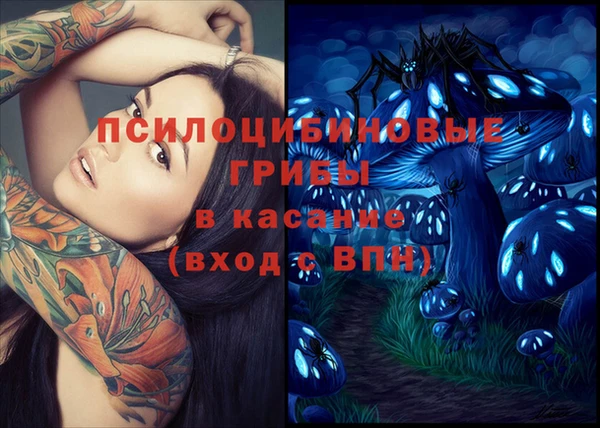 гашик Карпинск