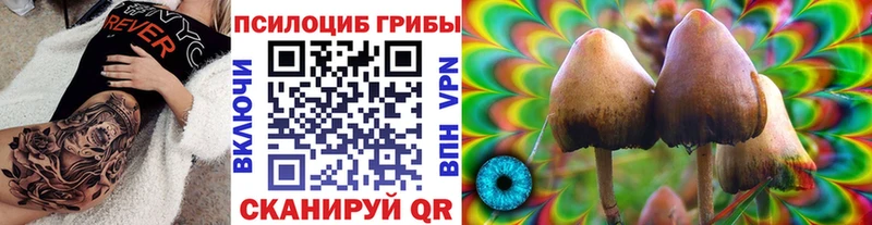 Галлюциногенные грибы мухоморы  Купить где  Ирбит 